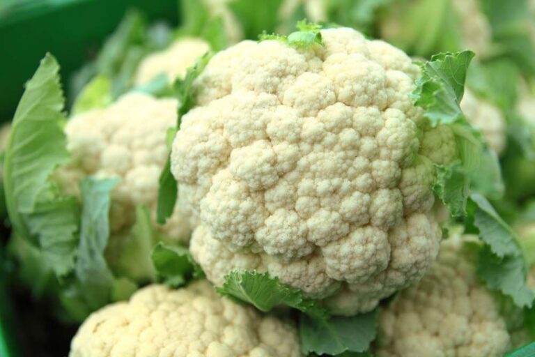 Cauliflower Benefits for Your Health